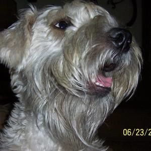 Meet your Posher, Tracey